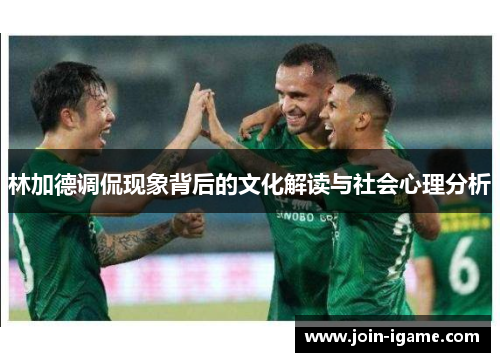 林加德调侃现象背后的文化解读与社会心理分析 林加德调侃现象背后的文化解读与社会心理分析