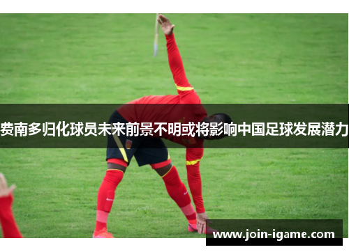 费南多归化球员未来前景不明或将影响中国足球发展潜力 费南多归化球员未来前景不明或将影响中国足球发展潜力