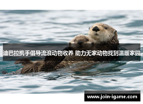 迪巴拉携手倡导流浪动物收养 助力无家动物找到温暖家园 迪巴拉携手倡导流浪动物收养 助力无家动物找到温暖家园