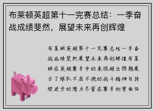布莱顿英超第十一完赛总结：一季奋战成绩斐然，展望未来再创辉煌