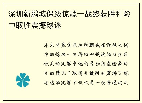 深圳新鹏城保级惊魂一战终获胜利险中取胜震撼球迷